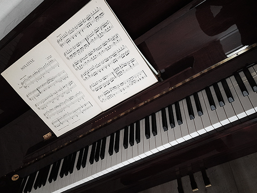 my dark red feurich piano in the living room